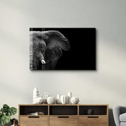 Elephant | Glass Wall Art - Artdesigna