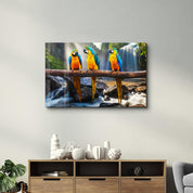 Parrots | Glass Wall Art - Artdesigna