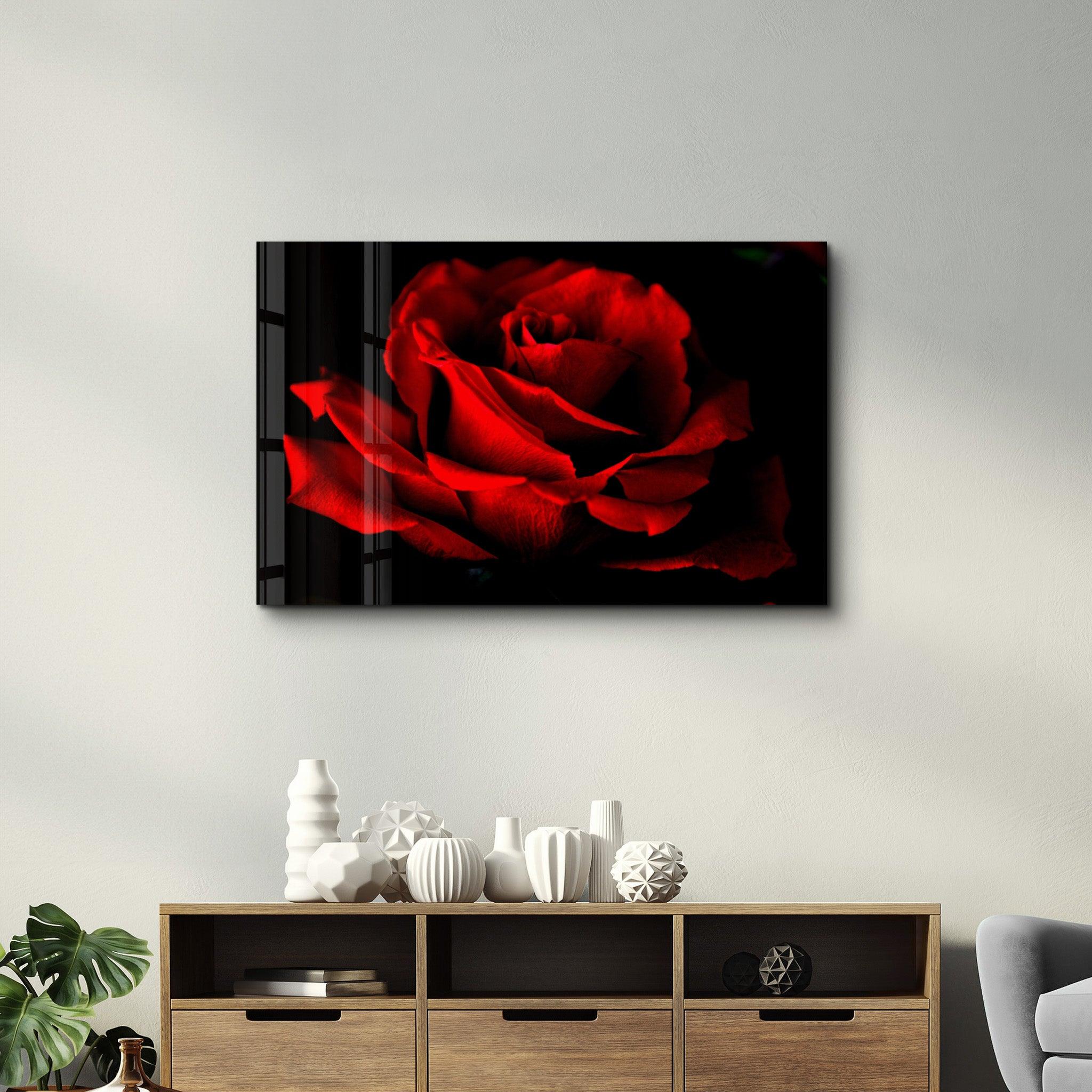 Red Rose | Glass Wall Art - Artdesigna