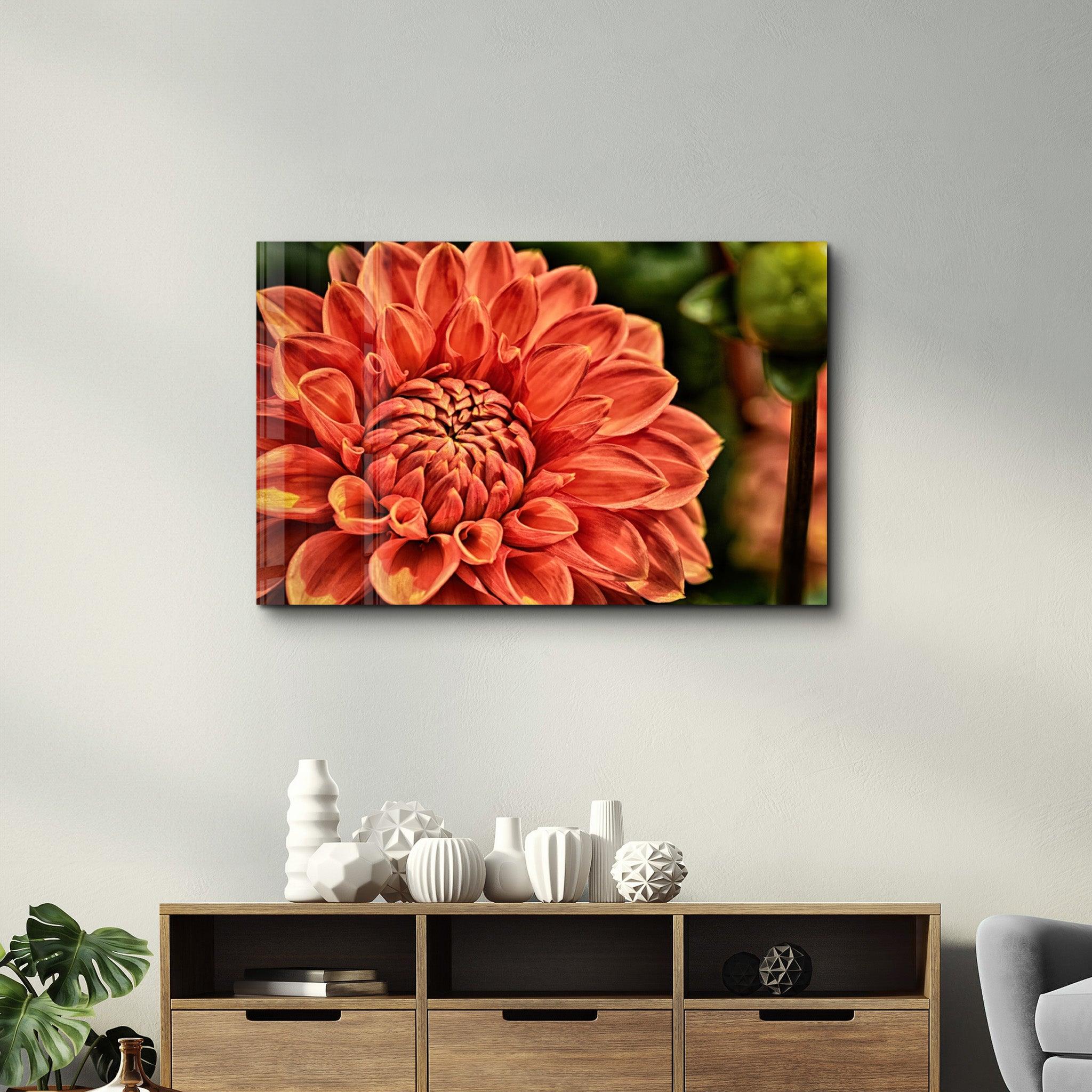 Orange Gerbera | Glass Wall Art - Artdesigna