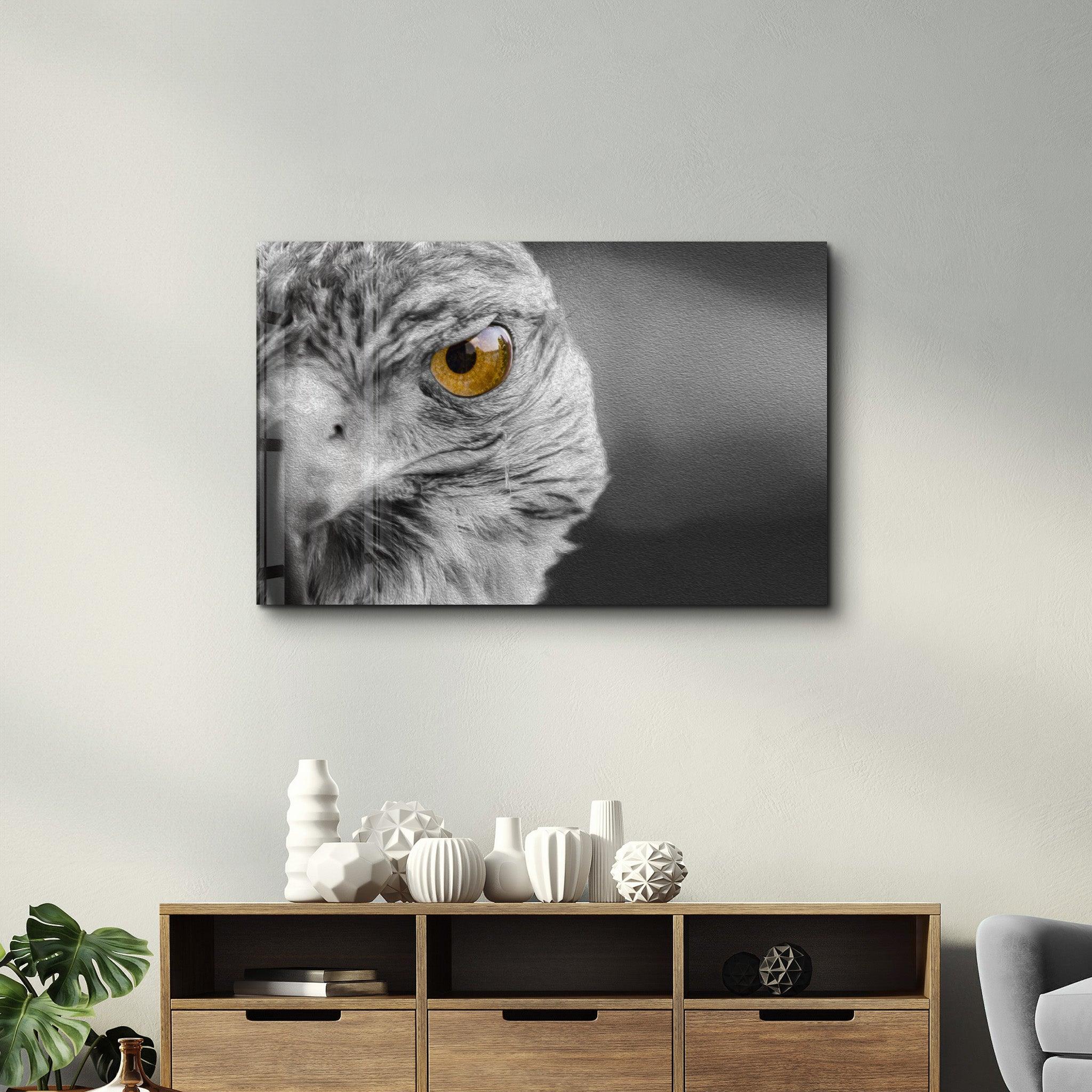 Hawk | Glass Wall Art - Artdesigna