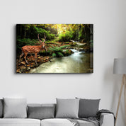 A Beauty In Nature | Glass Wall Art - Artdesigna