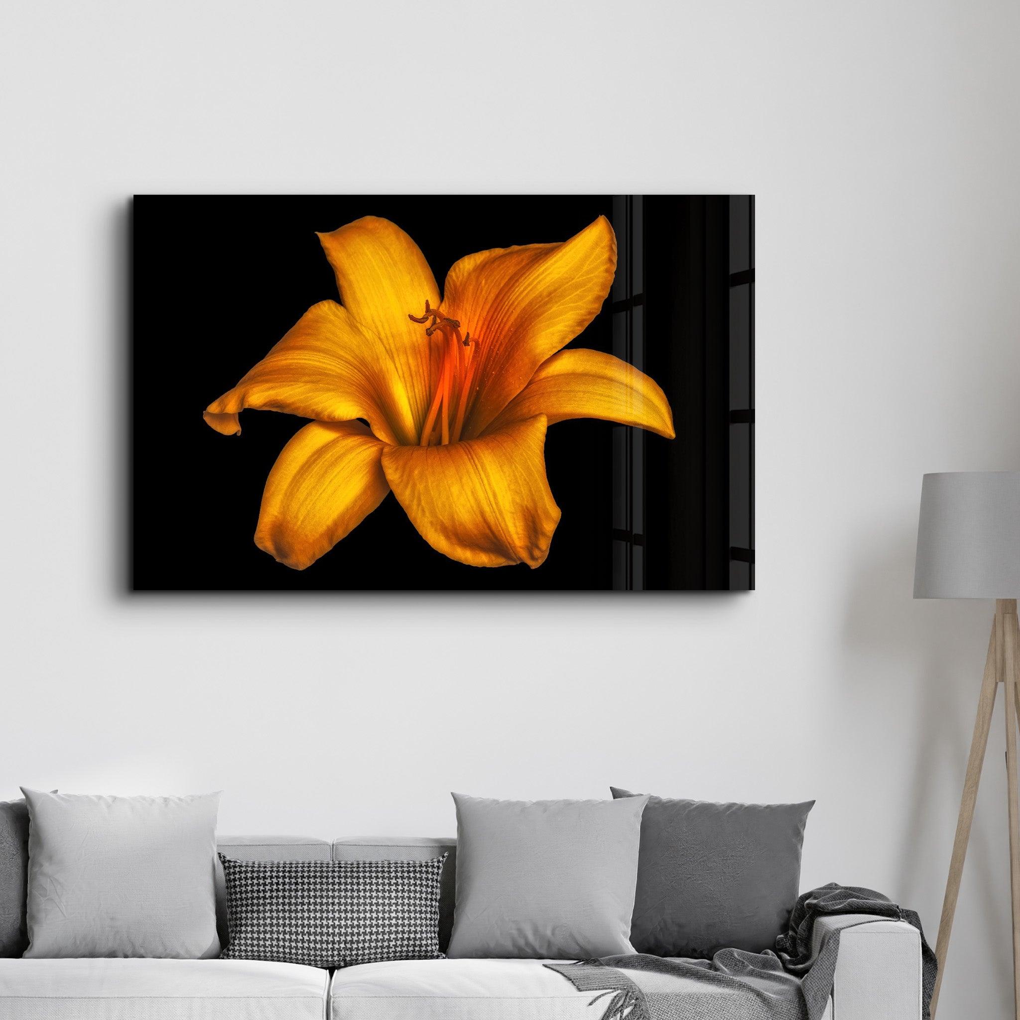 Orange Lily | Glass Wall Art - Artdesigna