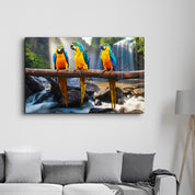 Parrots | Glass Wall Art - Artdesigna