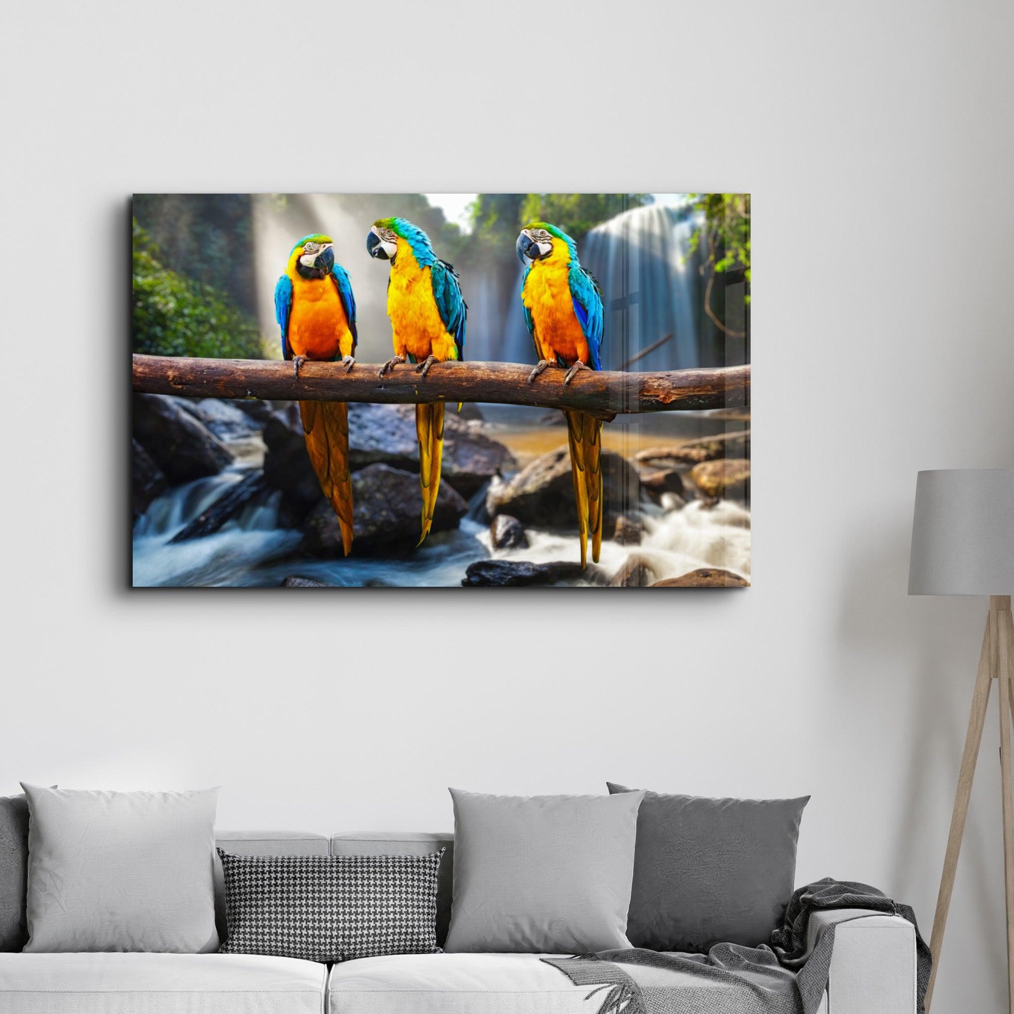 Parrots | Glass Wall Art - Artdesigna