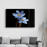 Blue Flower | Glass Wall Art - Artdesigna