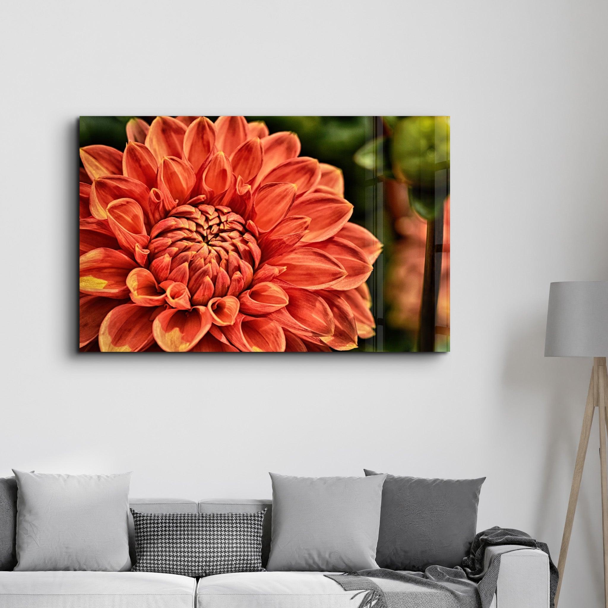 Orange Gerbera | Glass Wall Art - Artdesigna