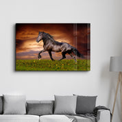 Horse in the Wind | Glass Wall Art - Artdesigna