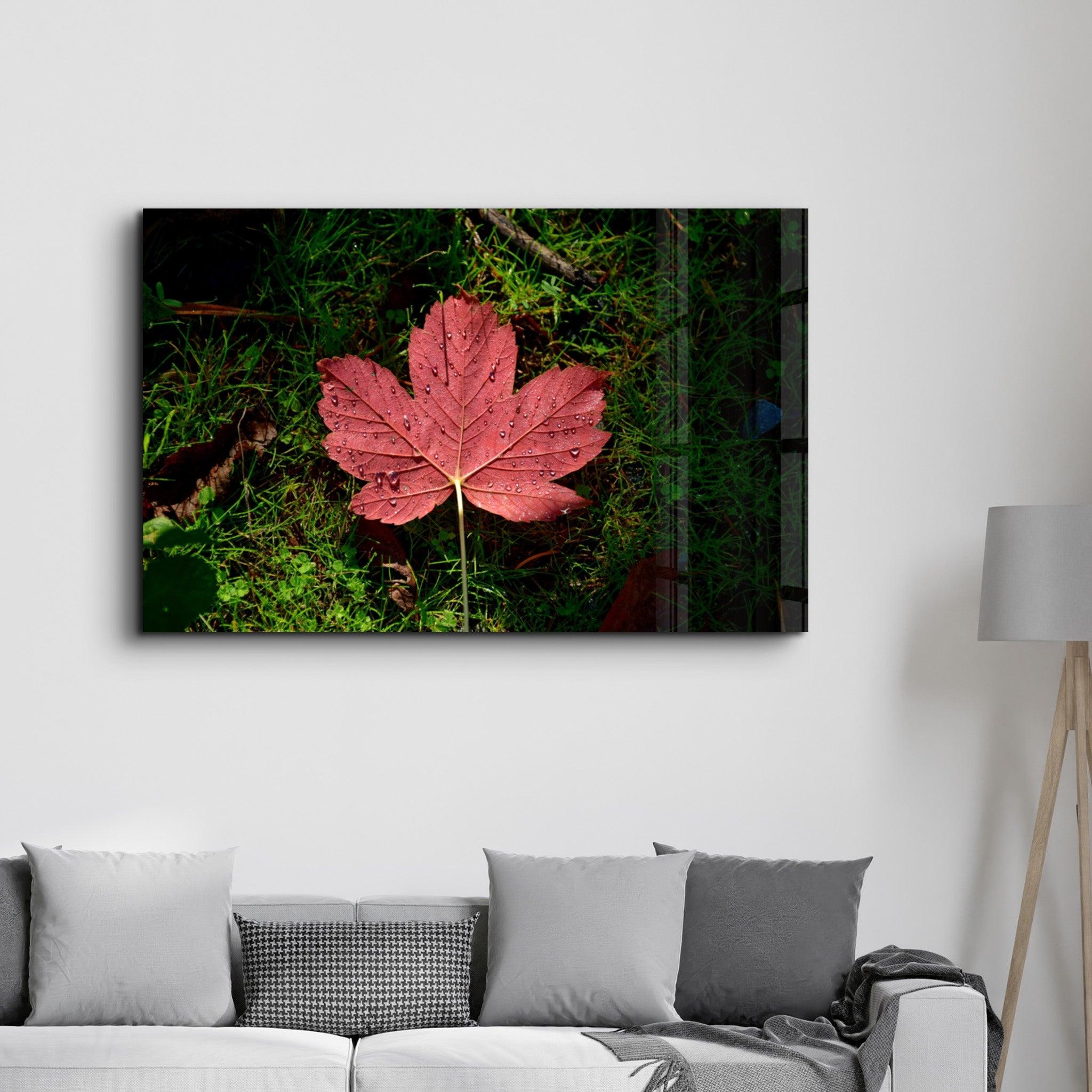 Plane Leaf | Glass Wall Art - Artdesigna