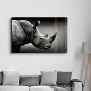 Rhino V2 | Glass Wall Art - Artdesigna