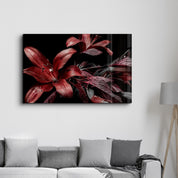 Red and Black Flowers | Glass Wall Art - Artdesigna