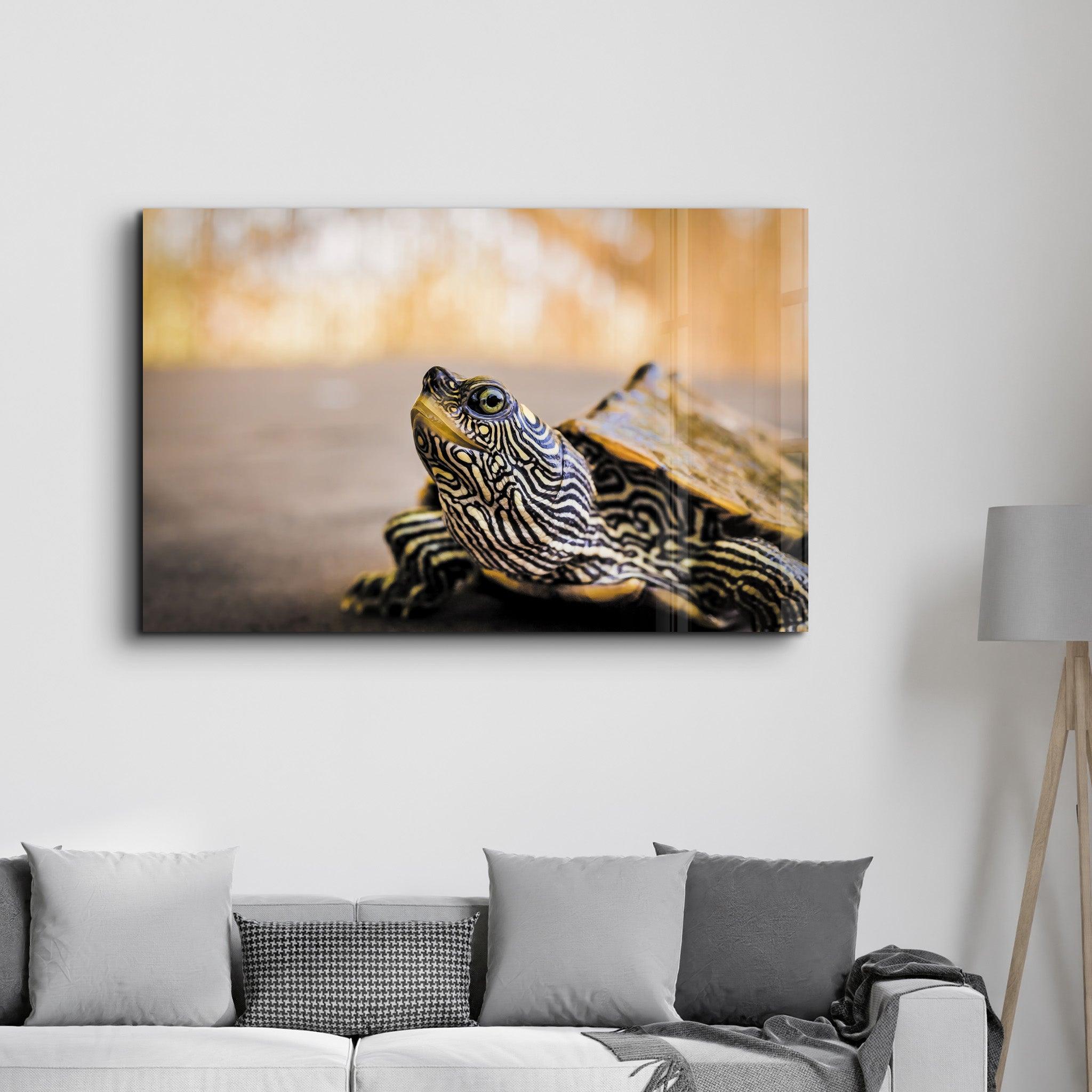 Striped Turtle | Glass Wall Art - Artdesigna