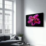 Purple Flower | Glass Wall Art - Artdesigna