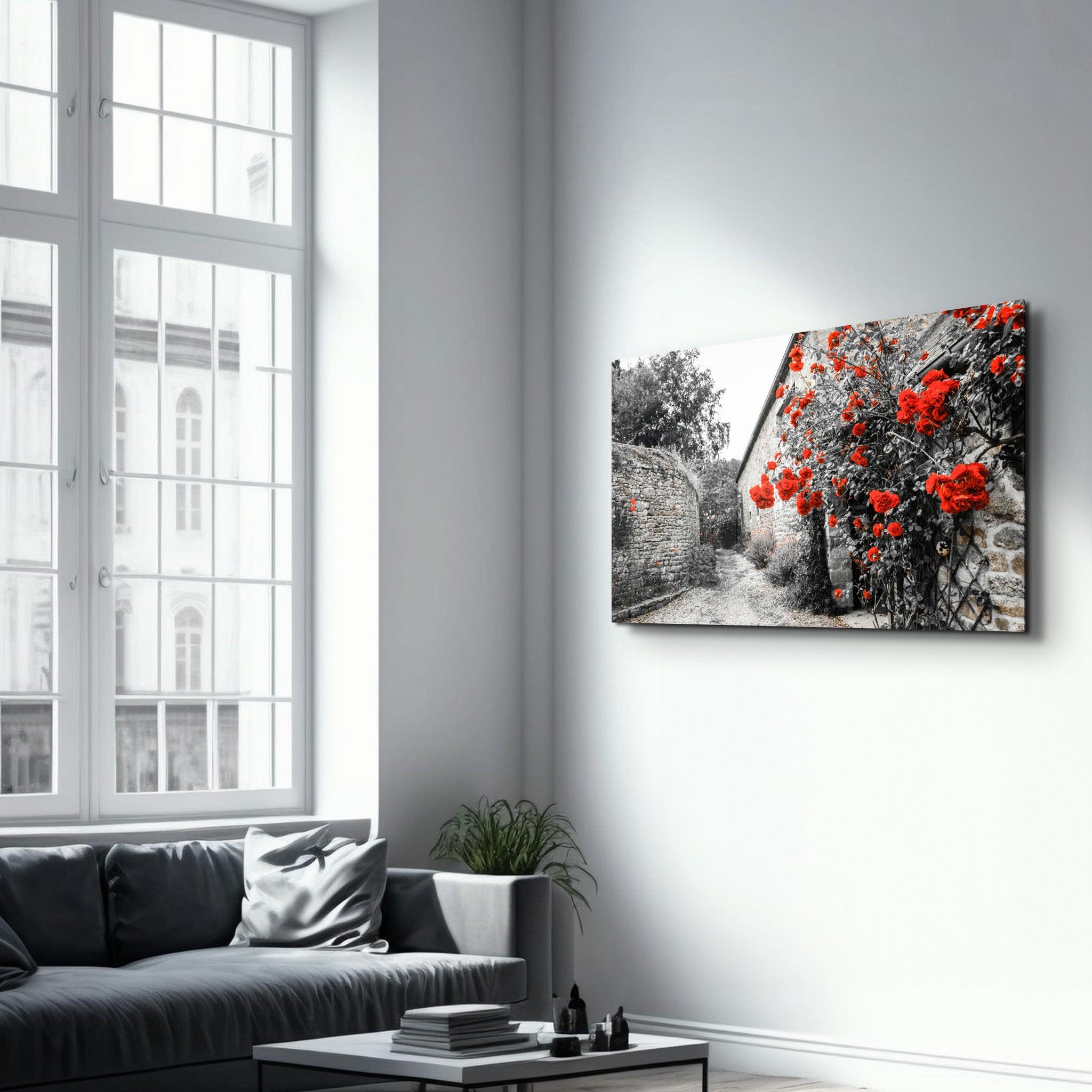 Red Rose 3 | Glass Wall Art - Artdesigna