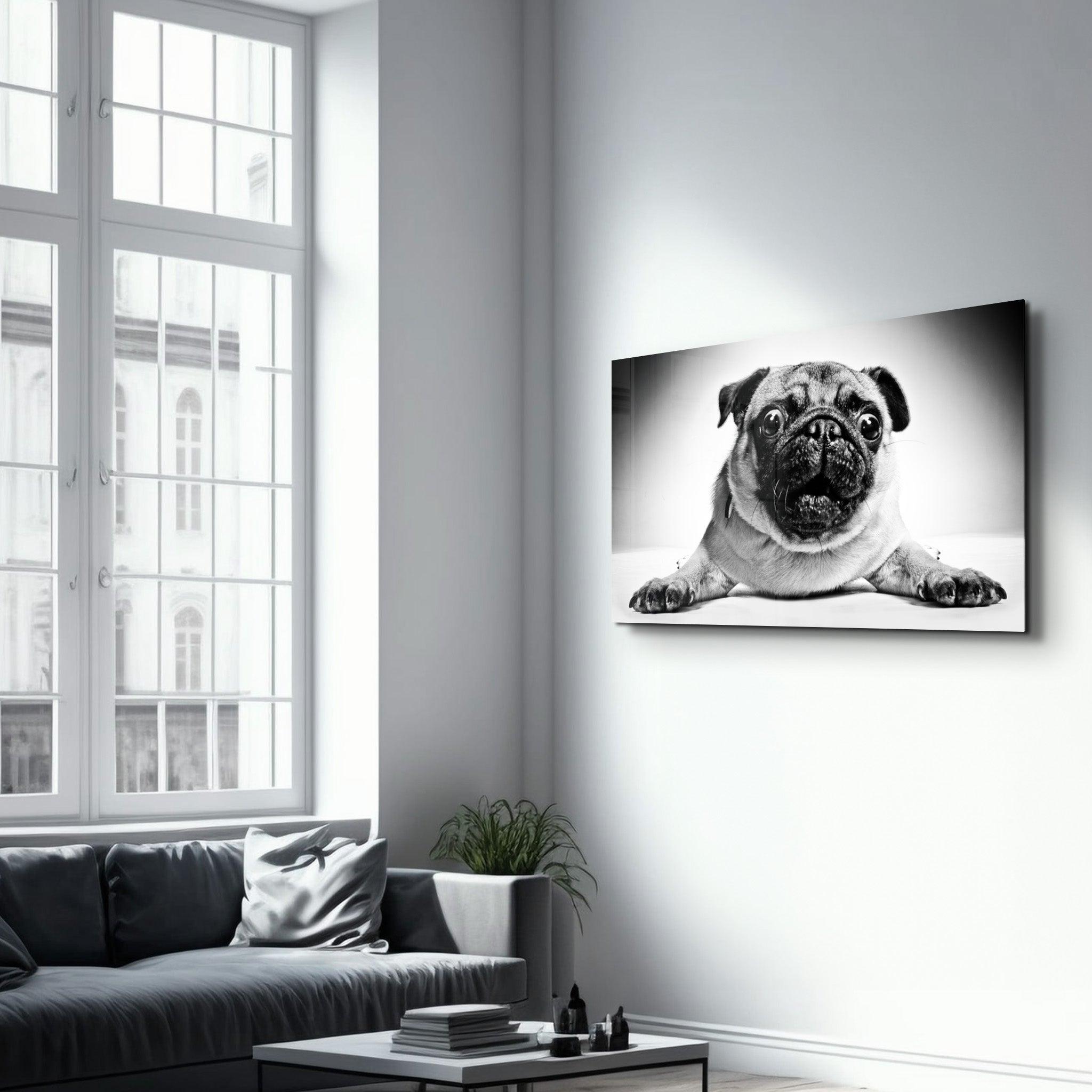 Pug | Glass Wall Art - Artdesigna