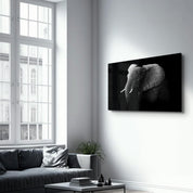 Elephant | Glass Wall Art - Artdesigna