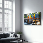 Parrots | Glass Wall Art - Artdesigna