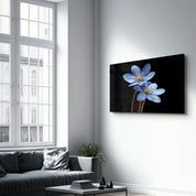 Blue Flower | Glass Wall Art - Artdesigna