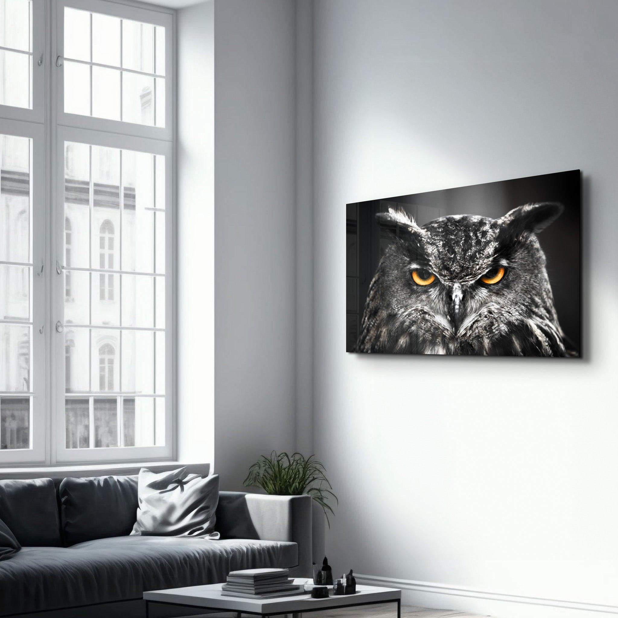 Owl | Glass Wall Art - Artdesigna