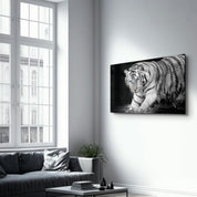 Tiger 2 | Glass Wall Art - Artdesigna