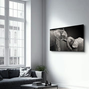 Elephants | Glass Wall Art - Artdesigna