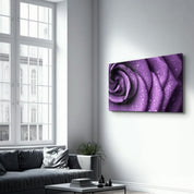 Purple Rose | Glass Wall Art - Artdesigna