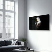 Eagle 1 | Glass Wall Art - Artdesigna