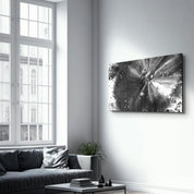 Black and White | Designer's Collection Glass Wall Art - Artdesigna