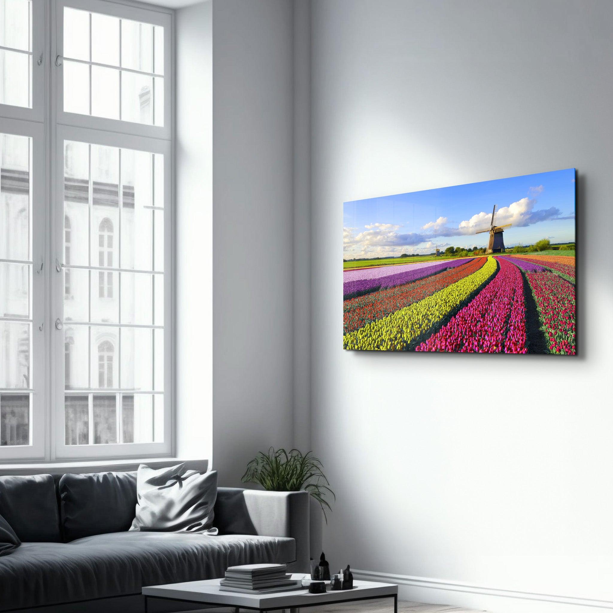 Tulips Of Amsterdam | Glass Wall Art - Artdesigna