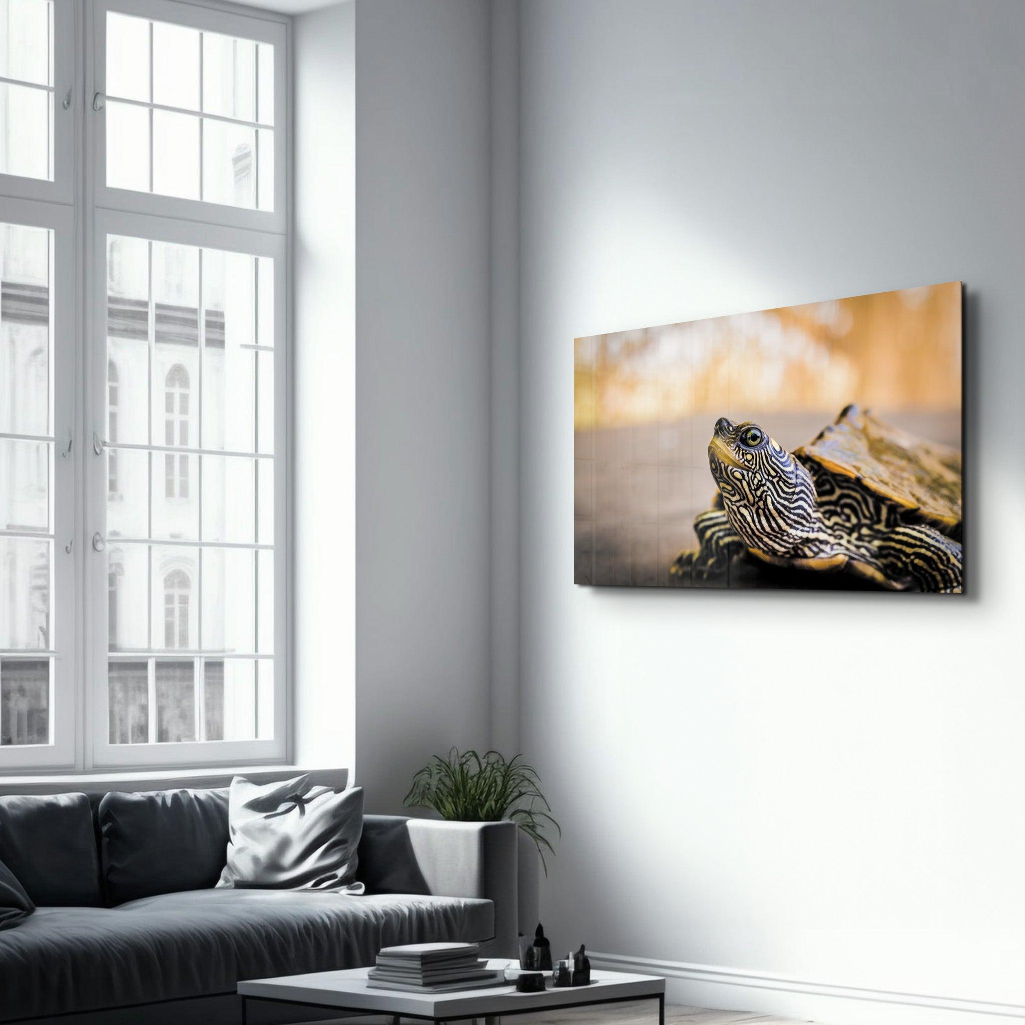 Striped Turtle | Glass Wall Art - Artdesigna