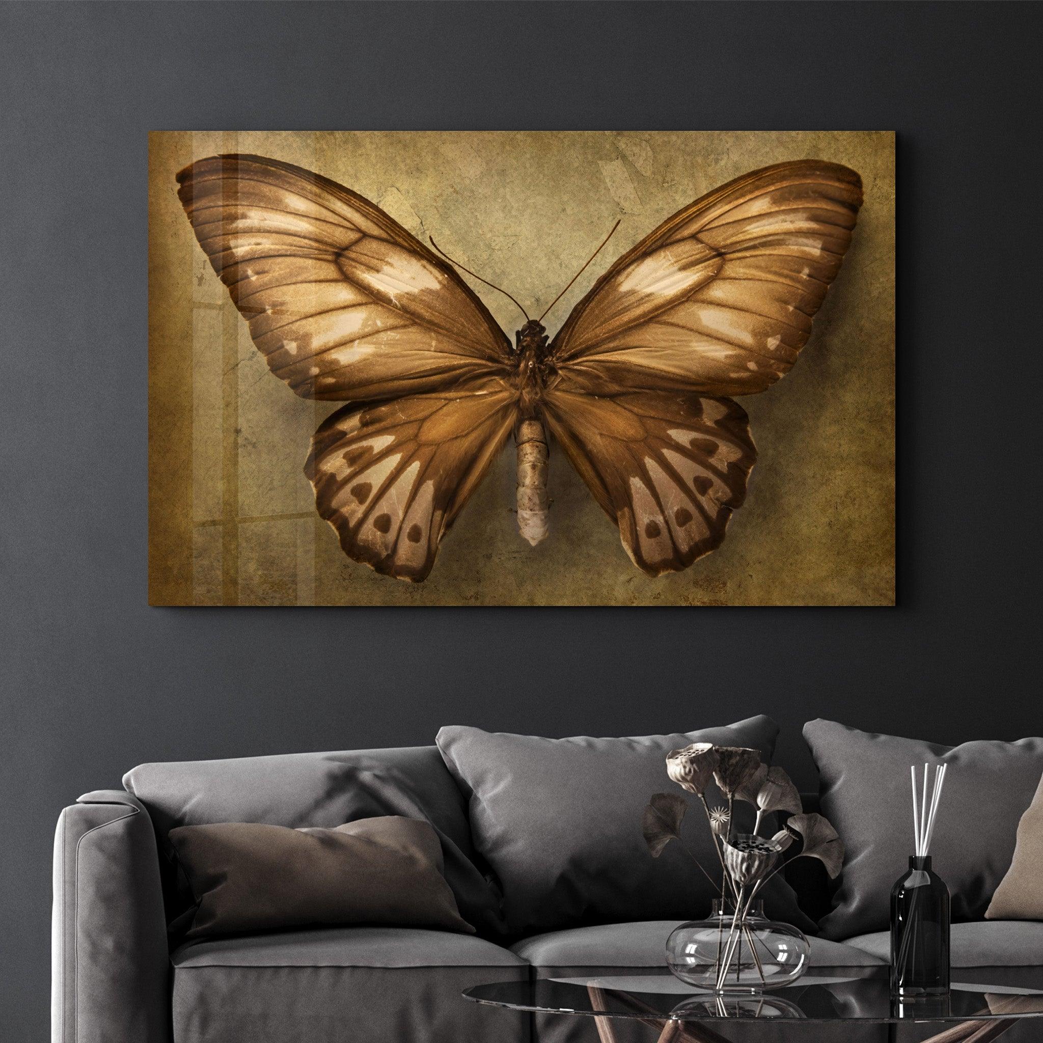 Vintage Butterfly | Glass Wall Art - Artdesigna