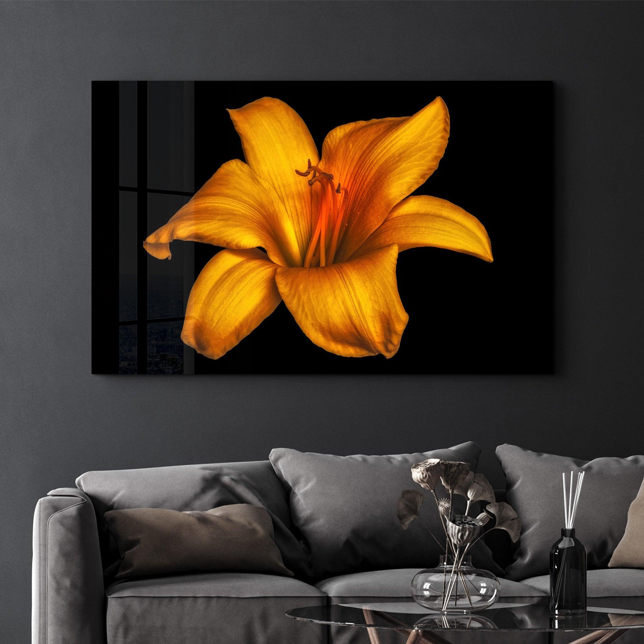 Orange Lily | Glass Wall Art - Artdesigna