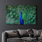 The Peacock | Glass Wall Art - Artdesigna