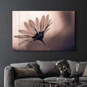 Whispers of Light | Glass Wall Art - Artdesigna