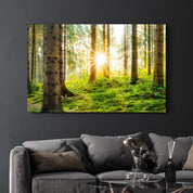 The Forest | Glass Wall Art - Artdesigna