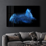 Blue Feather | Glass Wall Art - Artdesigna