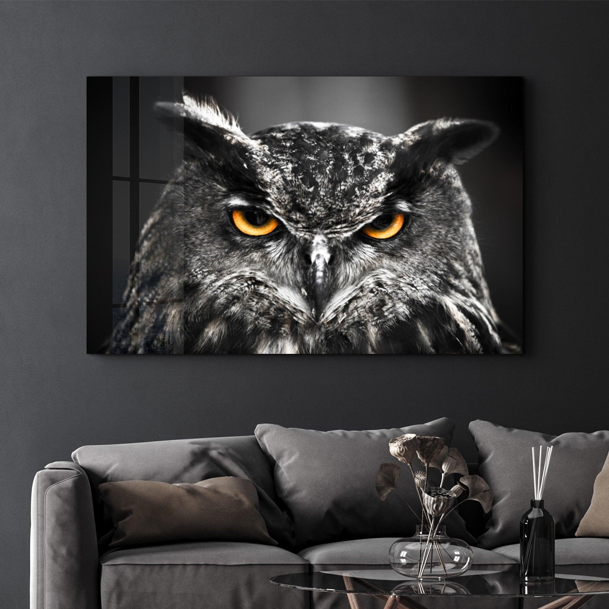 Owl | Glass Wall Art - Artdesigna