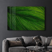 Leafa | Glass Wall Art - Artdesigna