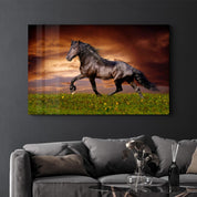 Horse in the Wind | Glass Wall Art - Artdesigna