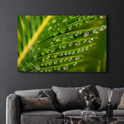 Green Leaves with Water Drops | Glass Wall Art - Artdesigna