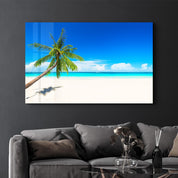 Paradise Calm: The Leaning Palm | Glass Wall Art - Artdesigna