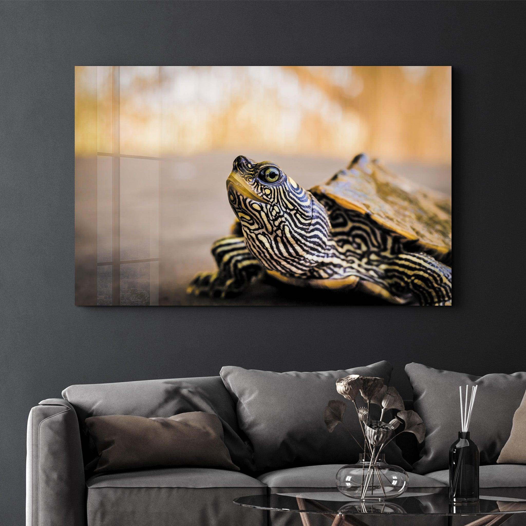 Striped Turtle | Glass Wall Art - Artdesigna