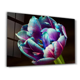 Tulip | Glass Wall Art