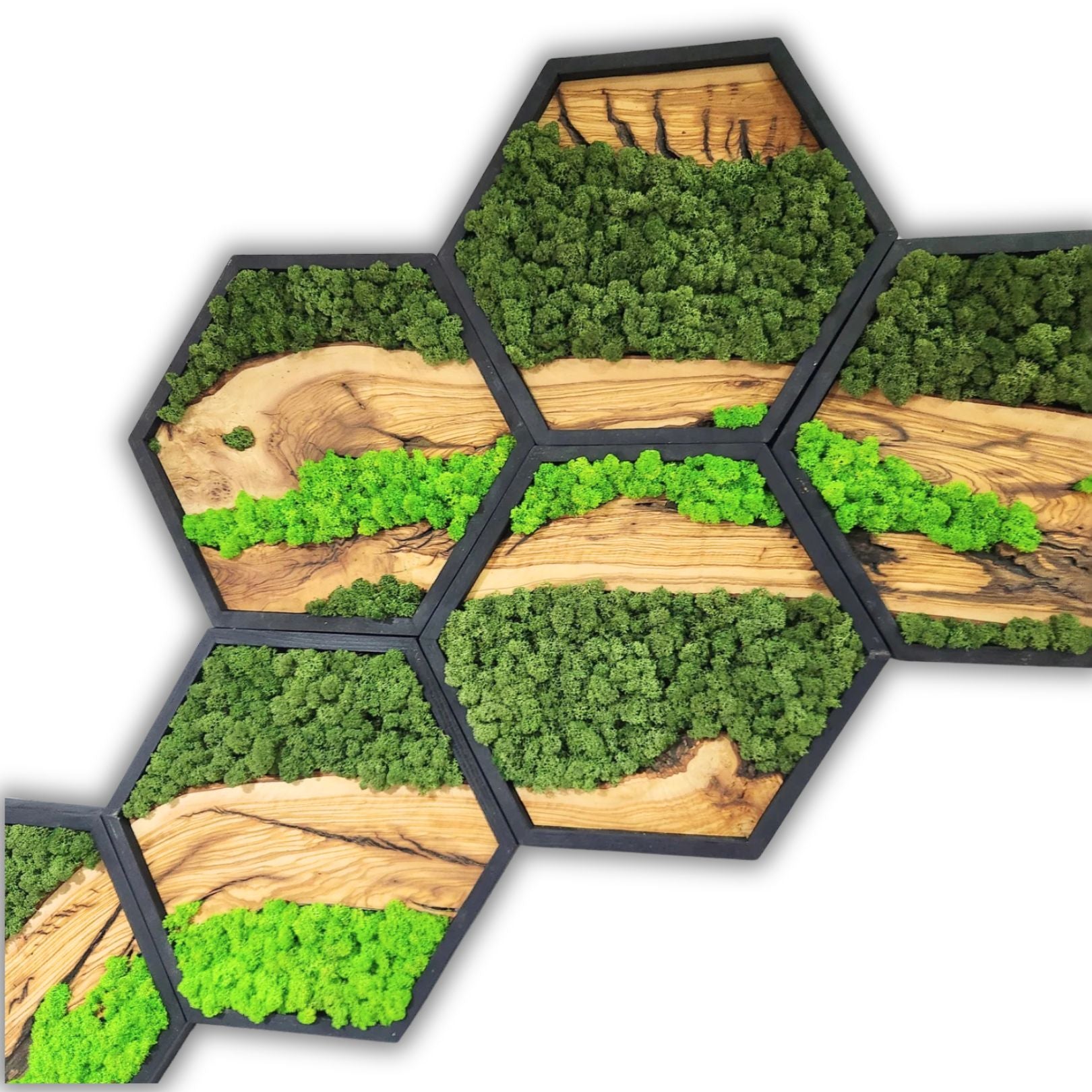 artdesigna-wood-wall-art-14-x-14-1-honeycomb-moss-olive-tree-premium-handmade-wall-sculptures-65572136780157.jpg