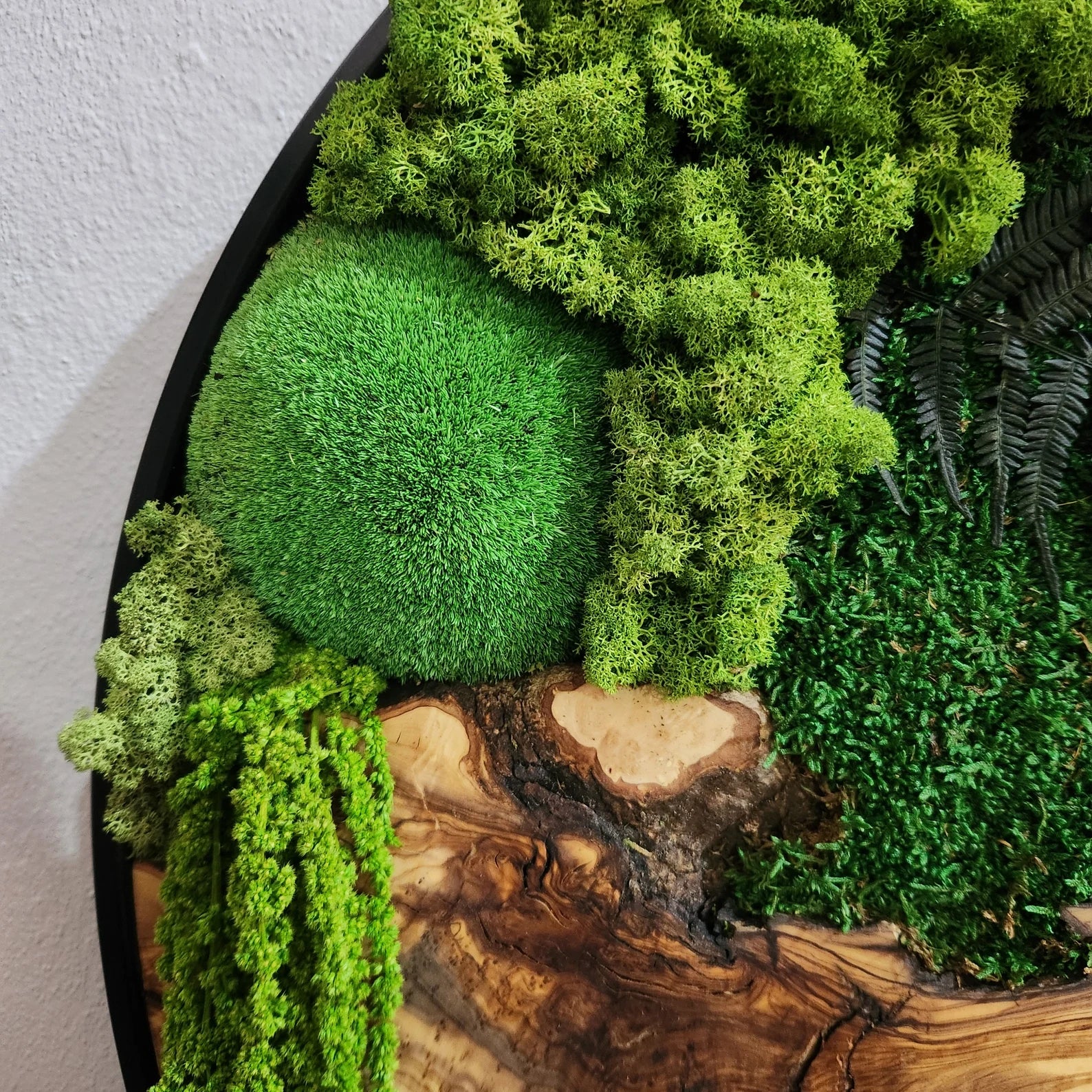 Organic Oasis | Premium Moss and Olive Wood Wall Decor - Artdesigna