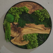 Organic Oasis | Premium Moss and Olive Wood Wall Decor