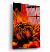 Orange Daisy | Glass Wall Art