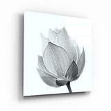 ・"B&W Tulip"・Glass Wall Art