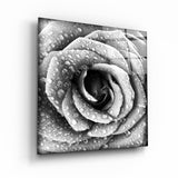 Rose Black and White | Glass Wall Art