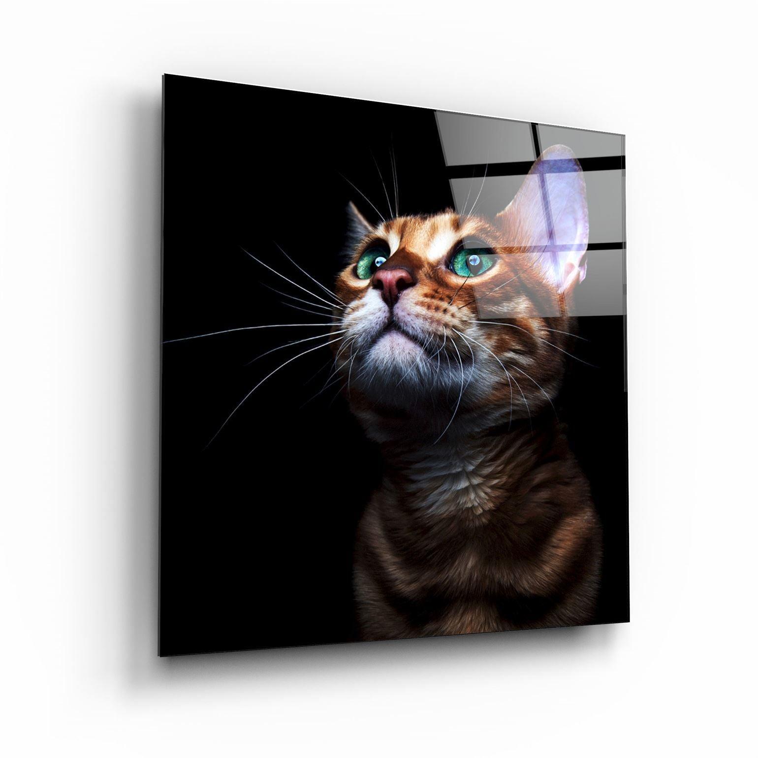 ・"Kitten"・Glass Wall Art - ArtDesigna Glass Printing Wall Art